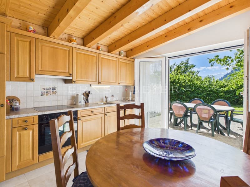 Beautiful semi-detached house in a peaceful and green environment (3)