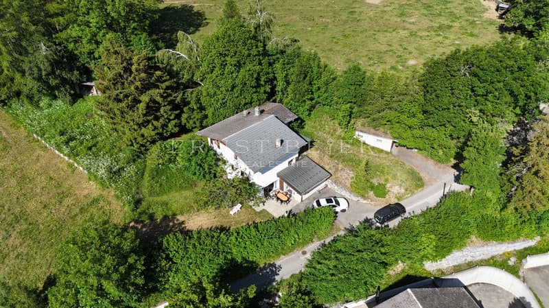 Beautiful semi-detached house in a peaceful and green environment (11)