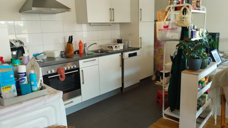 Joli 4 pièces avec grand balcon idéalement situé dans la région de Cointrin GE (6)