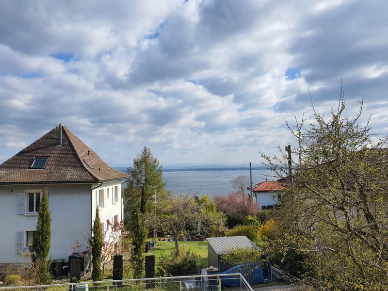 Magnifica Villa Individuale con Vista su Peseux (NE) (7)
