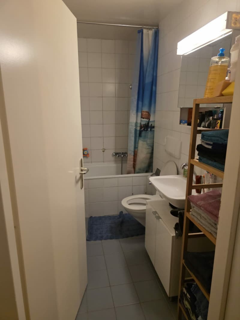 Übernahme Mietvertrag Vernier 5 Zimmer (6)