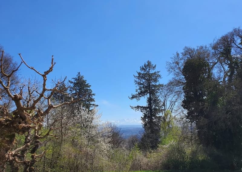 Havre de paix avec vue panoramique et jardin privé à Evilard (13)
