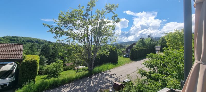 BEAUTIFUL SEMI-DETACHED HOUSE 4.5 ROOMS - A WAY OF LIFE AT THE FOOT OF THE JURA - EXCLUSIVITY (4)