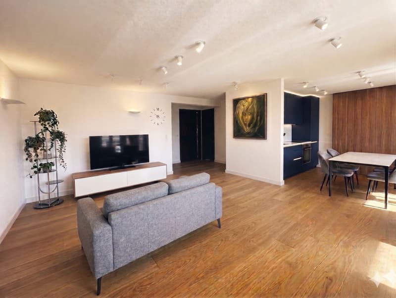 Splendid 2.5-room apartment, 10 minutes from Sion! (2)