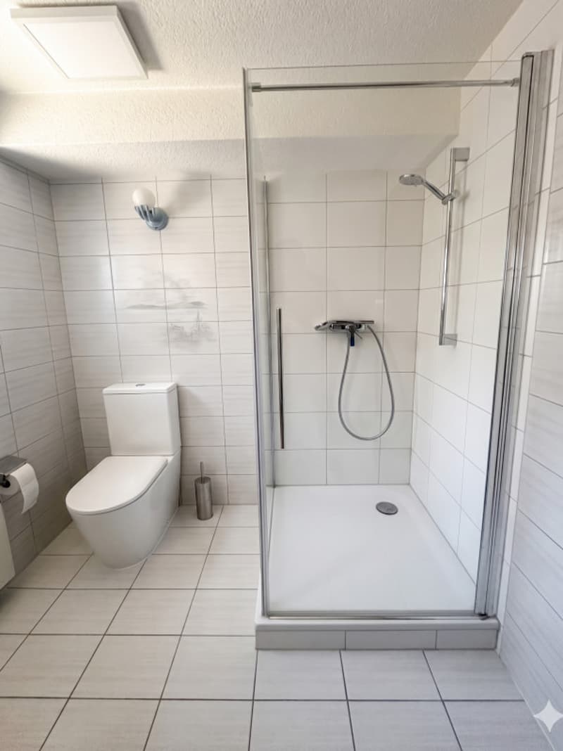 Splendid 2.5-room apartment, 10 minutes from Sion! (8)