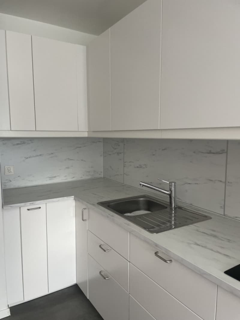 Appartement de standing de 5 pièces, avec terrasse privative et vue Mont-Blanc (11)