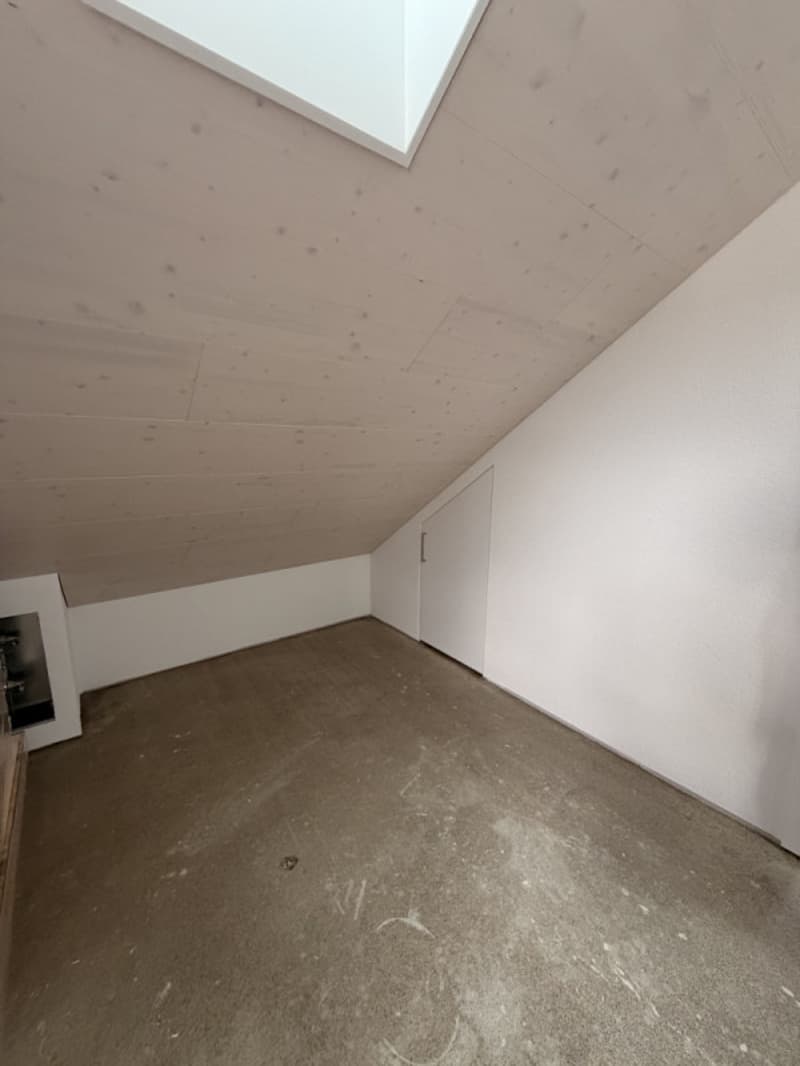 Bellissimo duplex di 3,5 locali, completamente ristrutturato con accesso privato (5)