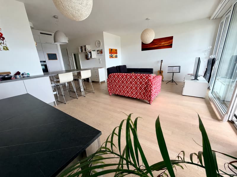 Contemporary apartment with dominant view of Geneva, in a green setting (3)