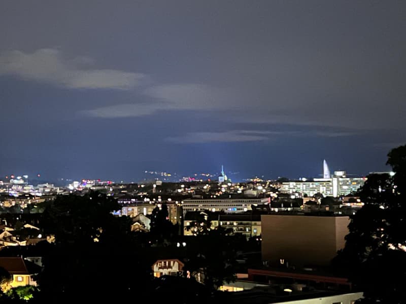Contemporary apartment with dominant view of Geneva, in a green setting (4)