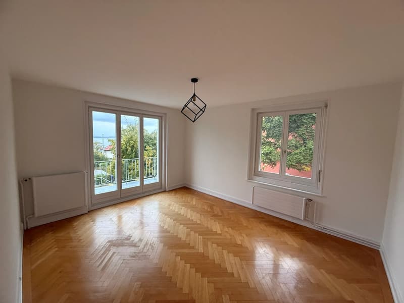 Magnifique Villa Individuelle avec Vue - Peseux (NE) (9)