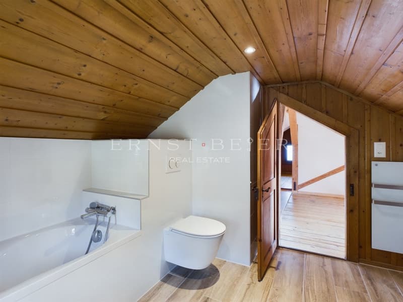 Schönes Herrenhaus komplett renoviert - 2 Apartments (10)