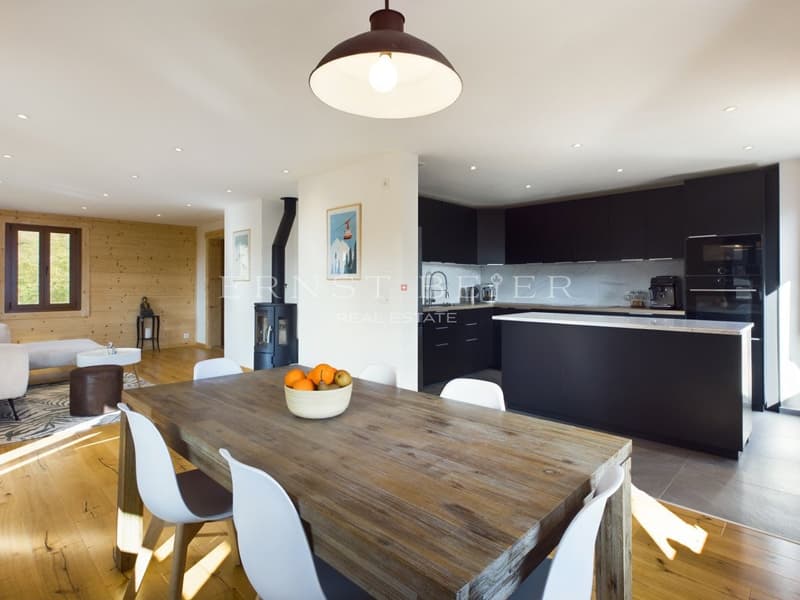 Schönes Herrenhaus komplett renoviert - 2 Apartments (2)