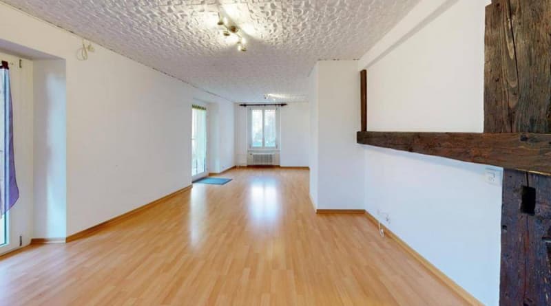 Fully Renovated Rental Property - 3 Apartments - Rent CHF 61'800 (5)