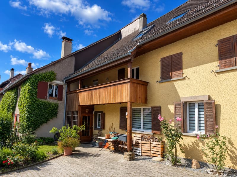 Fully Renovated Rental Property - 3 Apartments - Rent CHF 61'800 (1)
