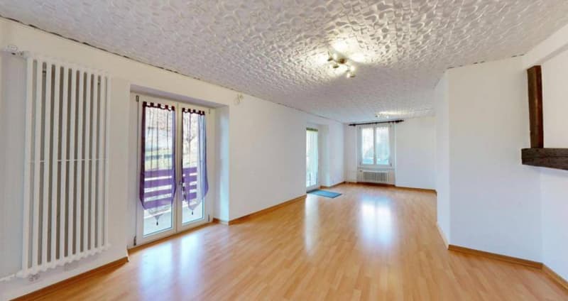 Fully Renovated Rental Property - 3 Apartments - Rent CHF 61'800 (3)