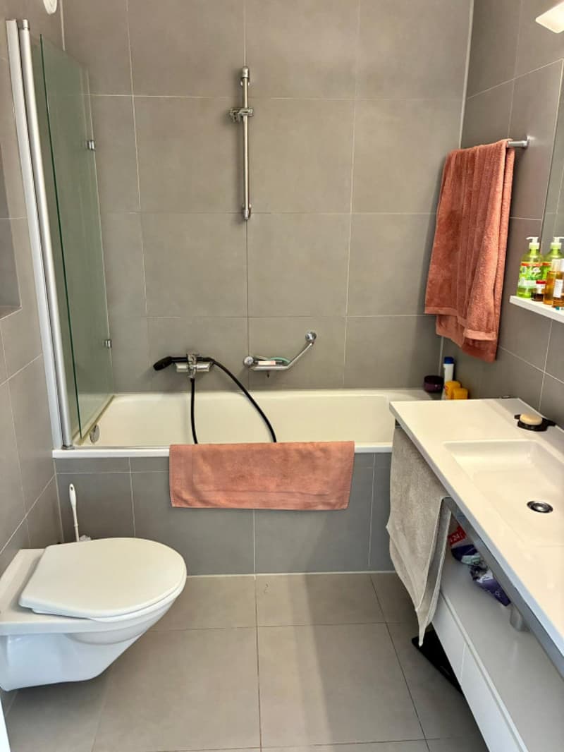 3,5 locali al 1° piano - Rue Sera-Biasini 16 (Rue du Vallon 16) a Losanna (12)