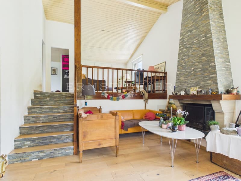 Magnificent family villa (4)