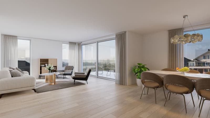 A vendre appartement de 3,5 pces sur la Commune de Misery (8)