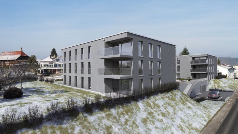 A vendre appartement de 3,5 pces sur la Commune de Misery (1)