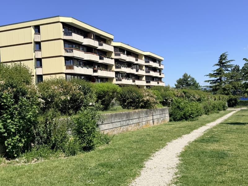 Appartement traversant rénové dans une copropriété bien entretenue (1)