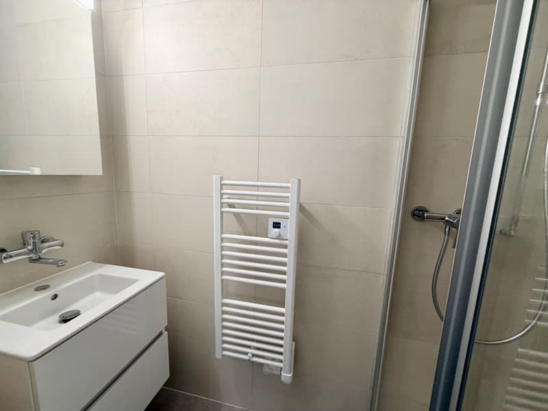 Appartement traversant rénové dans une copropriété bien entretenue (11)