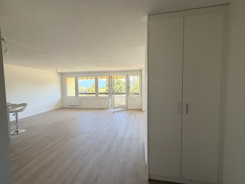 Appartement traversant rénové dans une copropriété bien entretenue (3)
