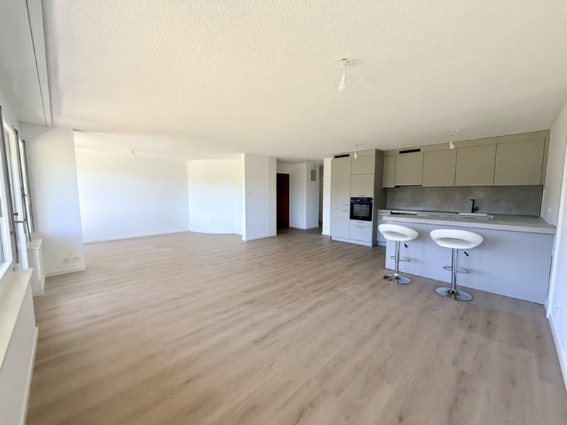 Appartement traversant rénové dans une copropriété bien entretenue (2)