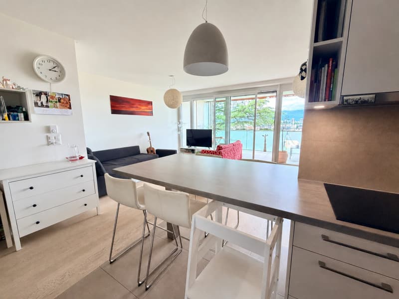 Contemporary apartment with dominant view of Geneva, in a green setting (4)