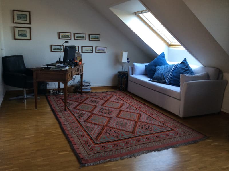 Appartement de standing de 5 pièces, avec terrasse vue Mont-Blanc et parking (7)