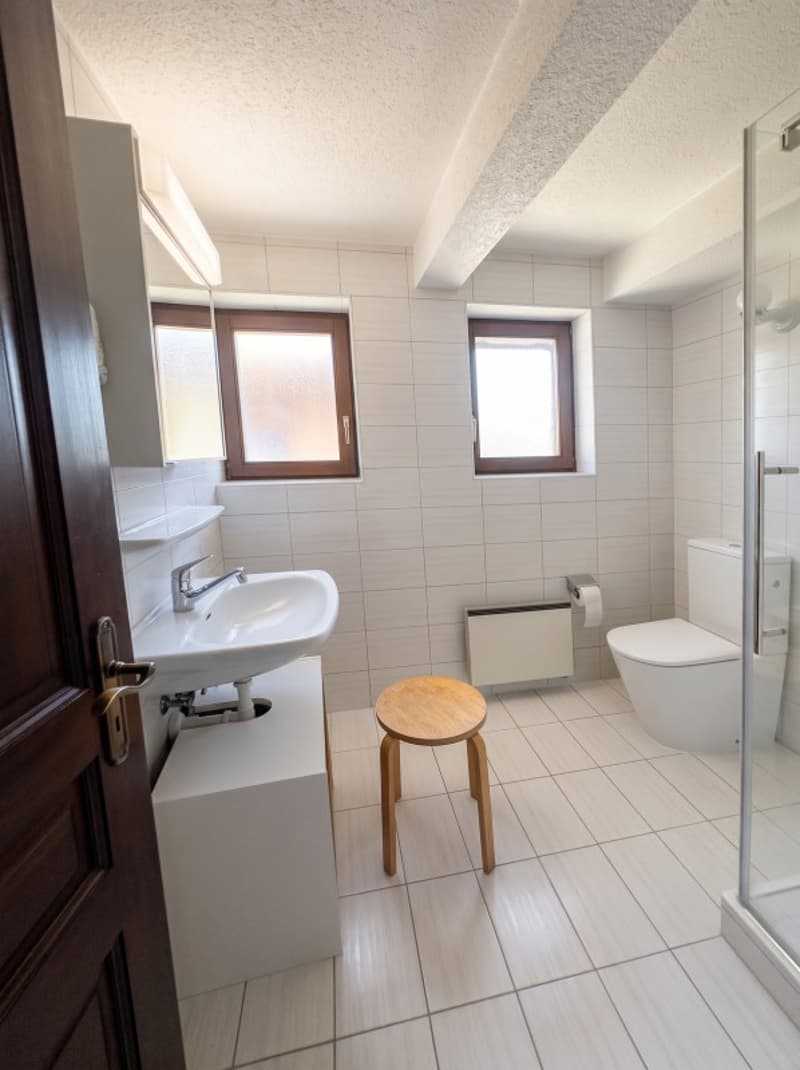 Splendid 2.5-room apartment, 10 minutes from Sion! (9)