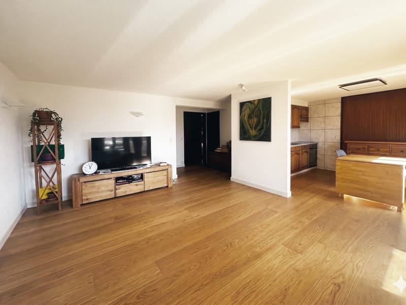Splendid 2.5-room apartment, 10 minutes from Sion! (2)
