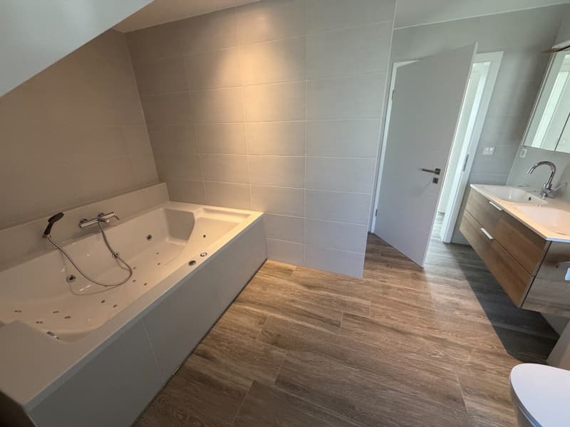 Contemporary villa with lake view, pool and exceptional amenities (5)