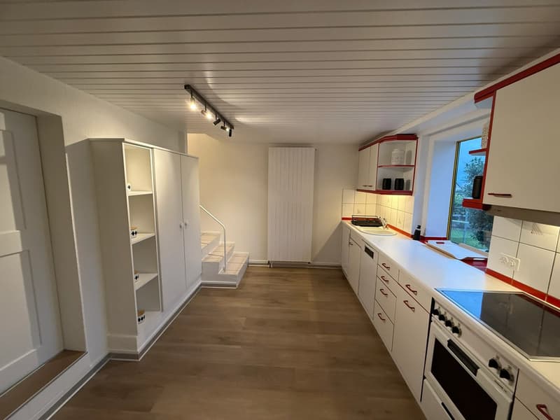 Magnificent Individual Villa with View - Peseux (NE) (6)