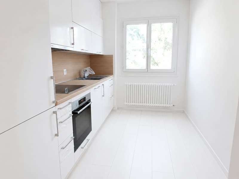 Zu vermieten - 4 Zimmer renoviert im 1. Stock eines kleinen 2-Stock-Gebäudes in Pully (3)