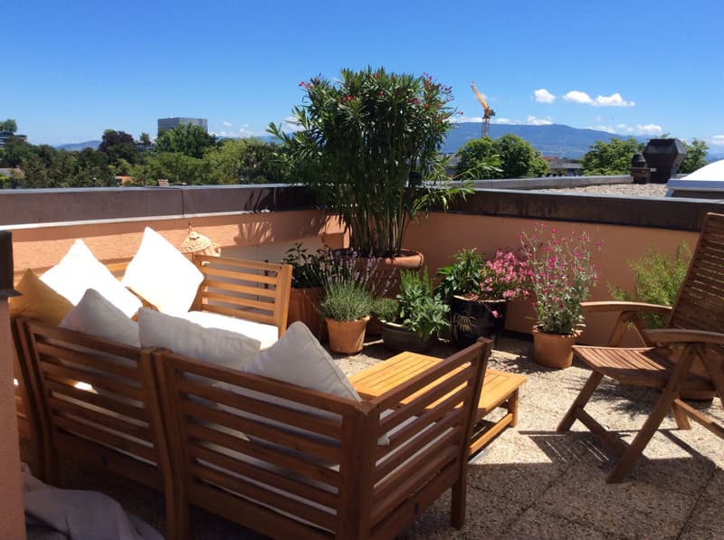 Appartement de standing  de 5 pièces, avec terrasse vue Mont-Blanc et parking (5)