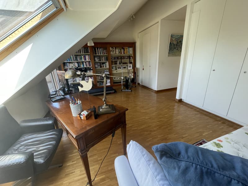 Appartement de standing  de 5 pièces, avec terrasse vue Mont-Blanc et parking (8)