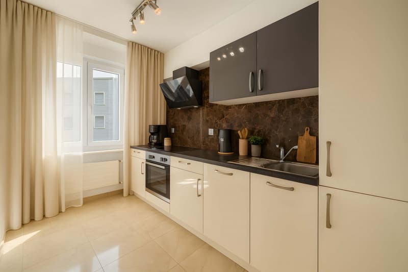 Appartamento di lusso 4,5 locali (3)