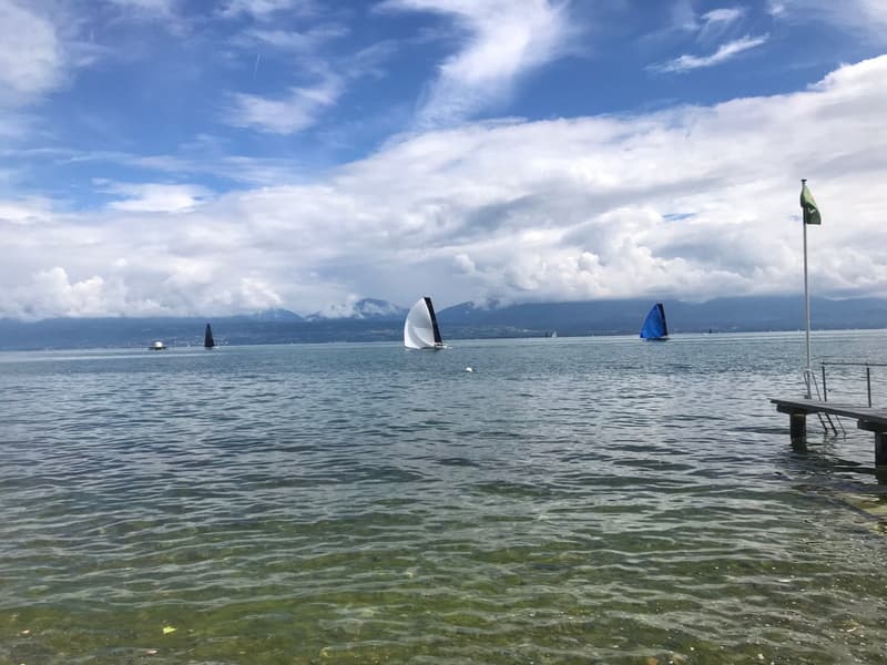 SAINT-PREX - DEUX VILLAS AU BORD DU LÉMAN, AVEC ACCÈS PRIVATIF AU LAC (10)
