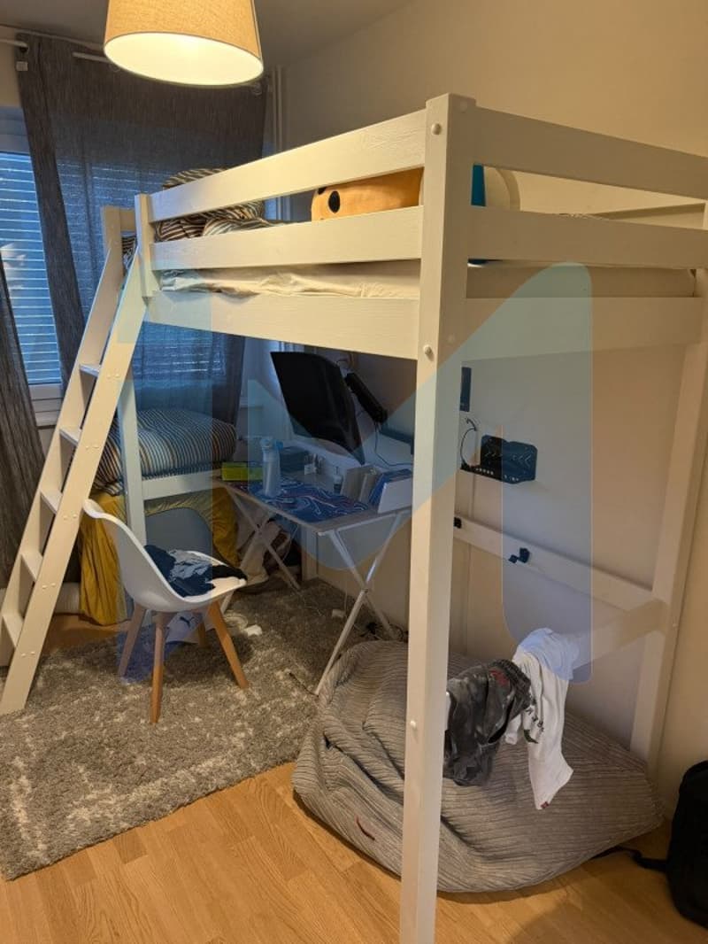 Appartamento di quattro locali al 3° piano situato a Carouge 1227 (4)