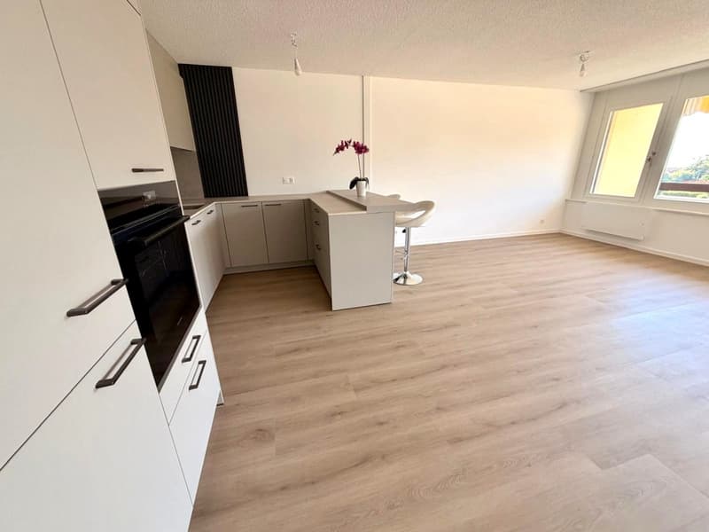 Bello appartamento familiare in una coproprietà ben tenuta (12)