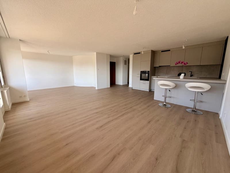 Bello appartamento familiare in una coproprietà ben tenuta (2)
