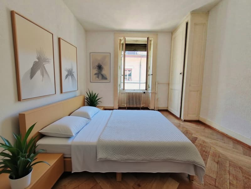 Lumineux appartement 4 pièces, casatax à Plainpalais (3)