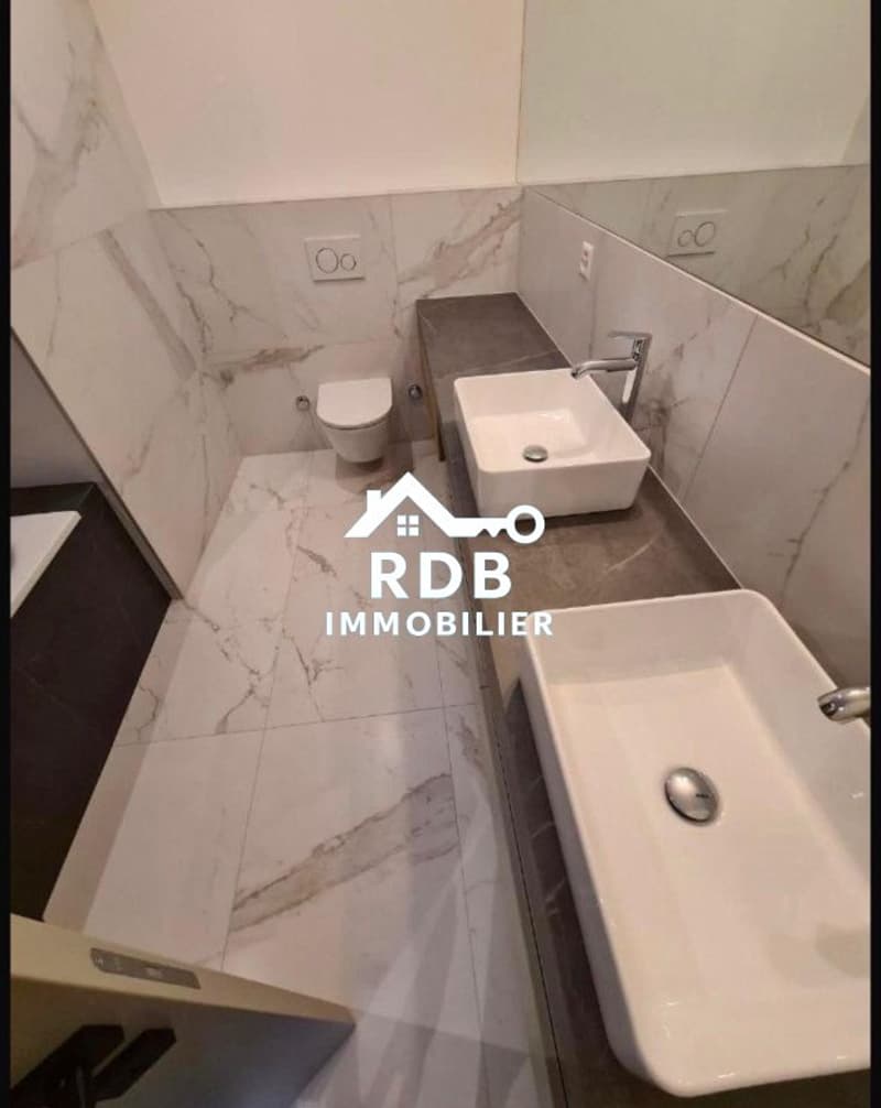Appartamento di 4,5 locali al 1° piano situato a Ginevra 1208 (5)