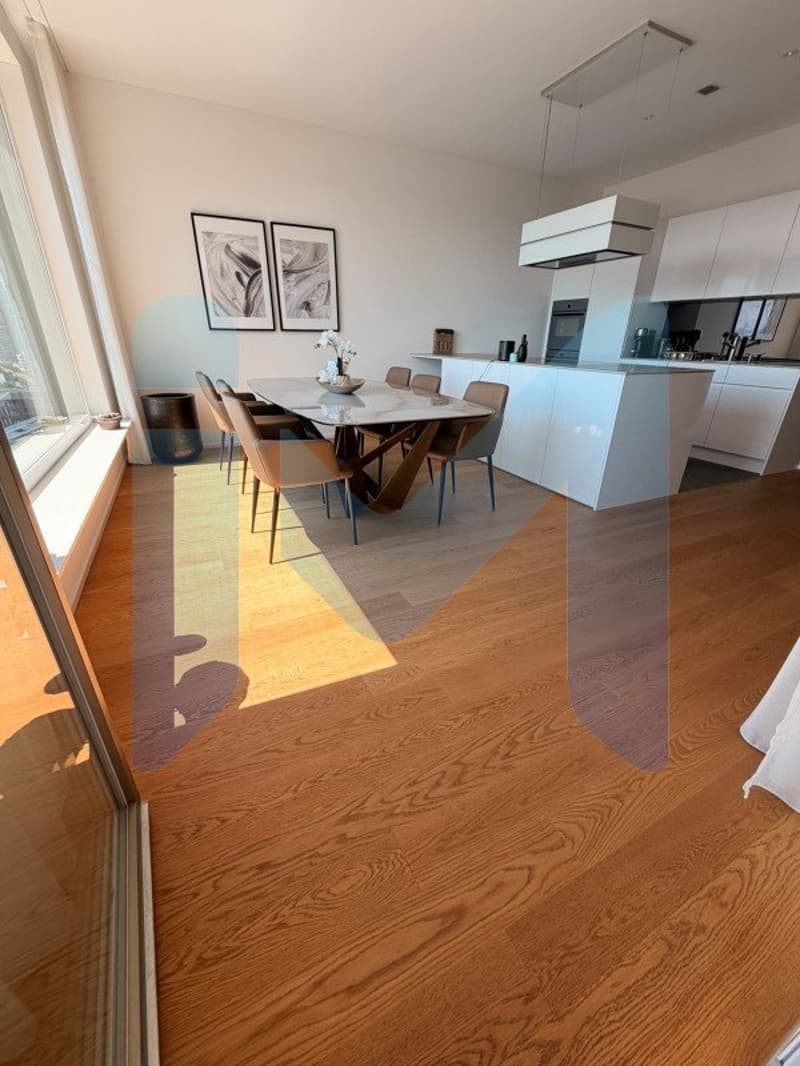 EXCEPTIONAL PENTHOUSE - Top Floor (1)