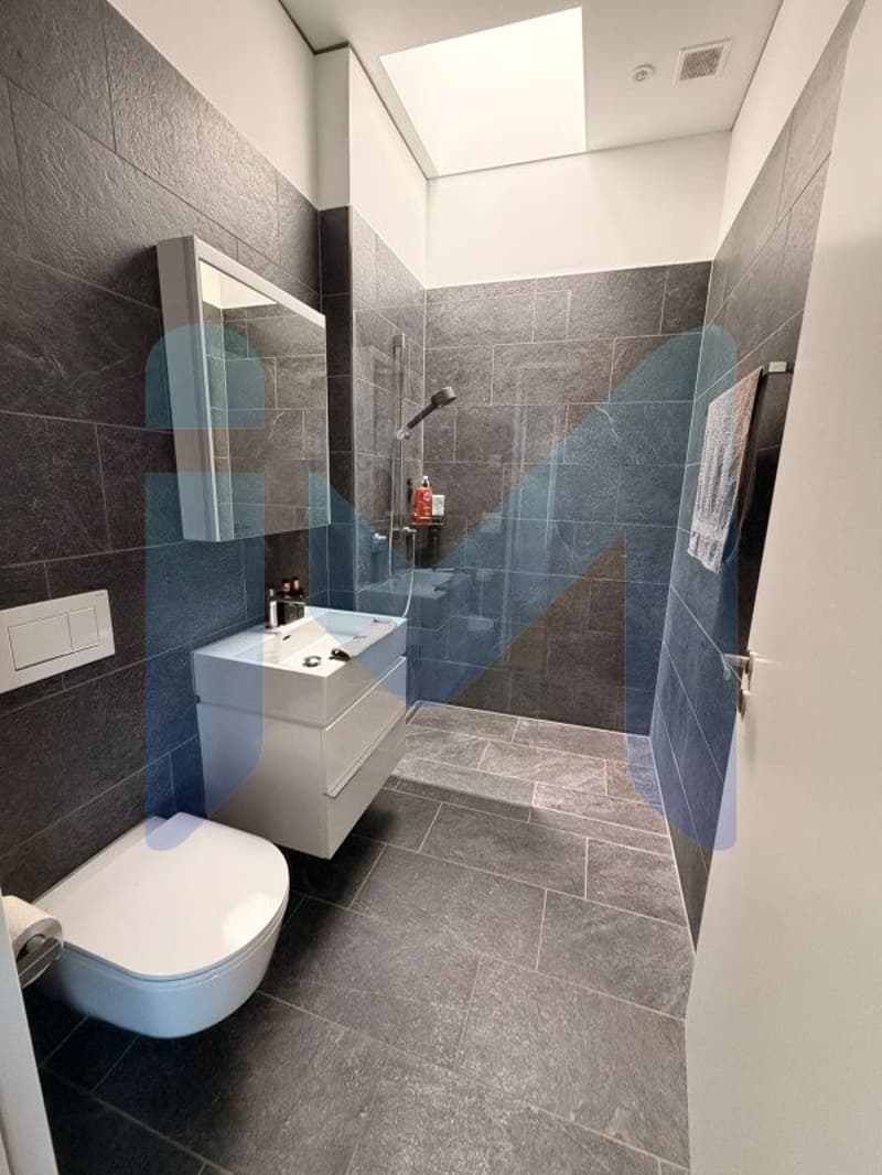 EXCEPTIONAL PENTHOUSE - Top Floor (9)