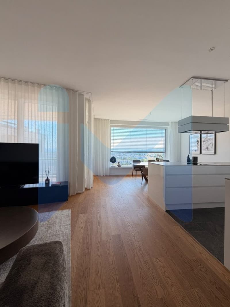 EXCEPTIONAL PENTHOUSE - Top Floor (2)