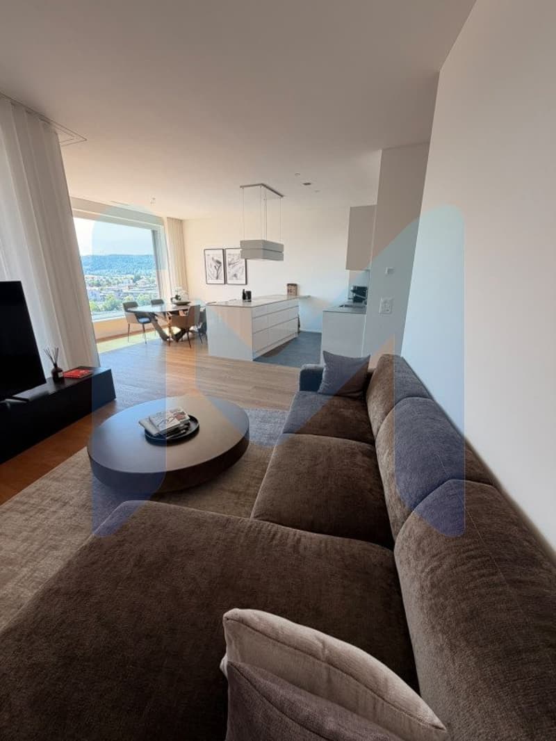 EXCEPTIONAL PENTHOUSE - Top Floor (3)