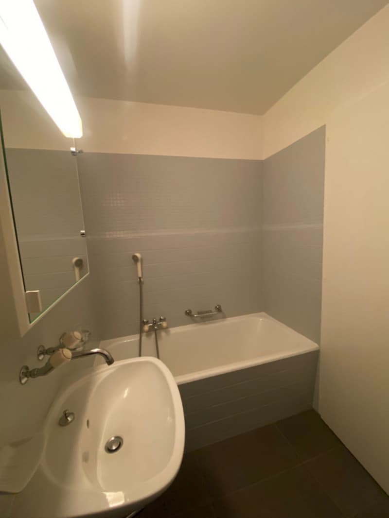 Two-room apartment - Ch. de Rovéréaz 14, 1012 Lausanne (9)