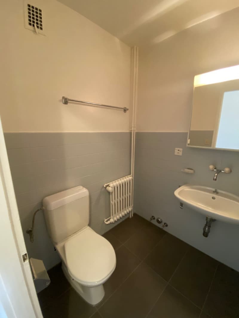 Two-room apartment - Ch. de Rovéréaz 14, 1012 Lausanne (8)