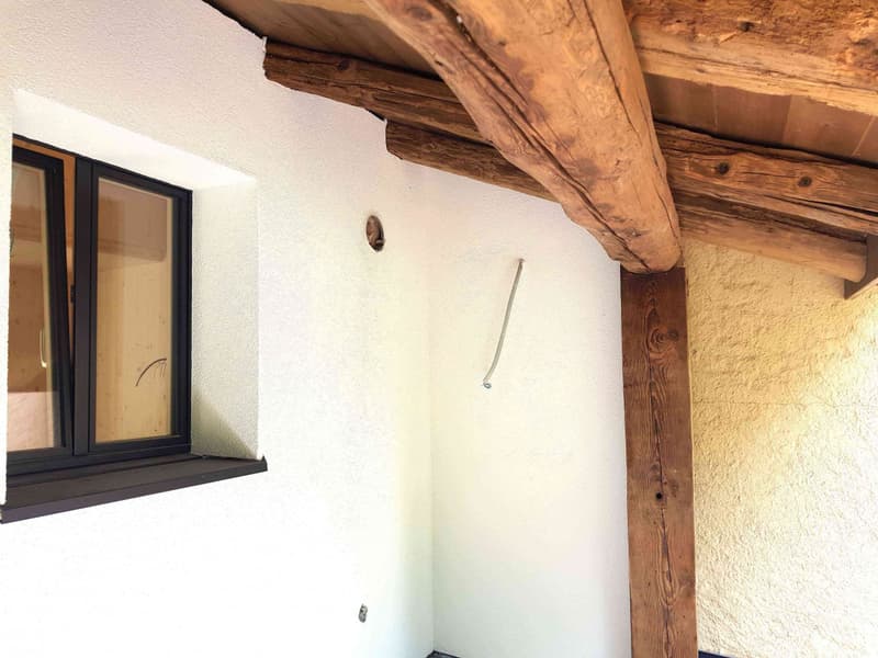 MAISON DE CHARME ÉCOLOGIQUE NEUVE AVEC JARDIN, PARKINGS BELLE VUE (3)